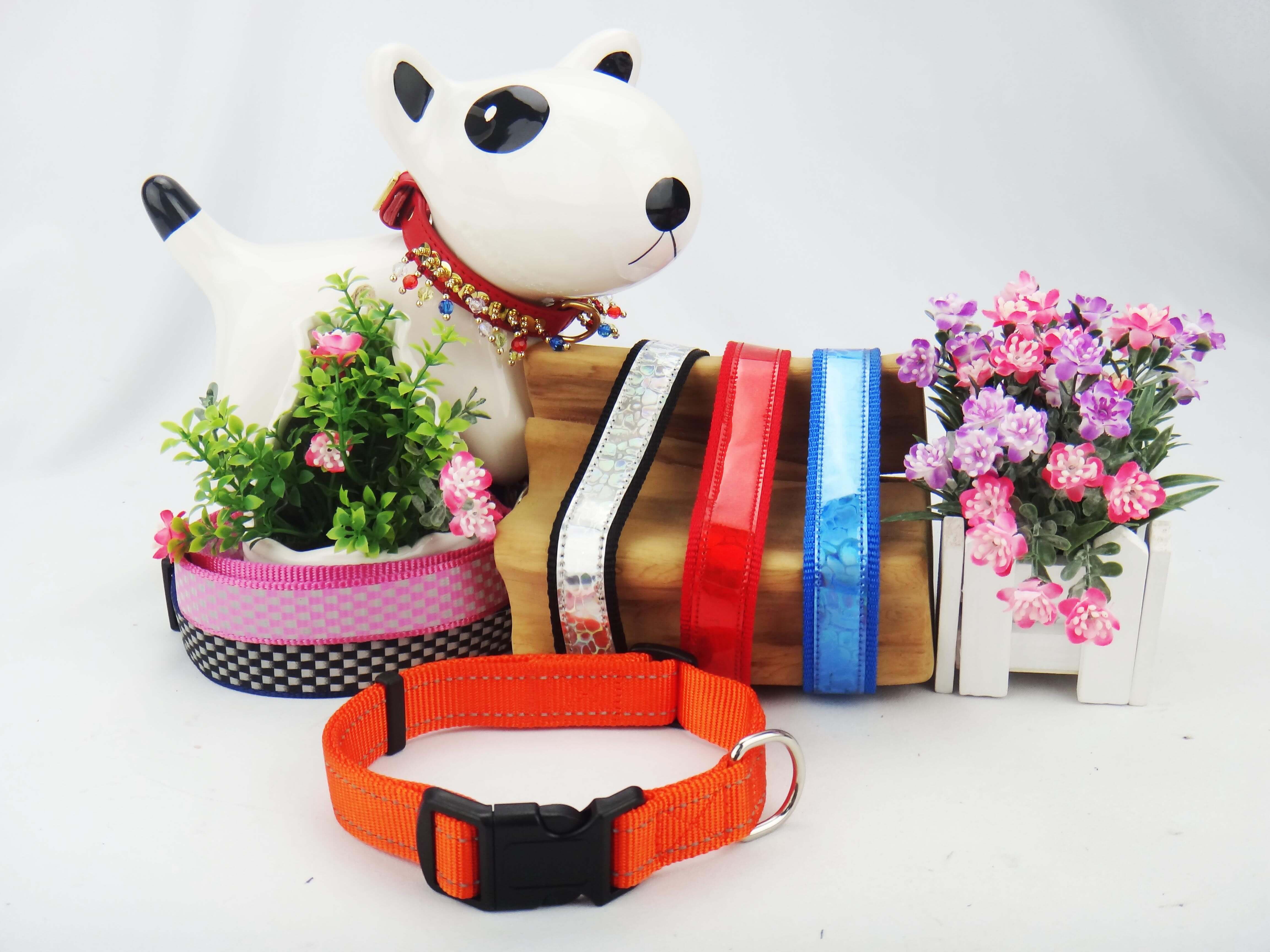 Pet Collar