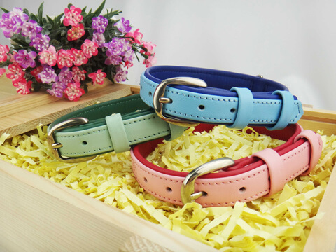 Pet Collar